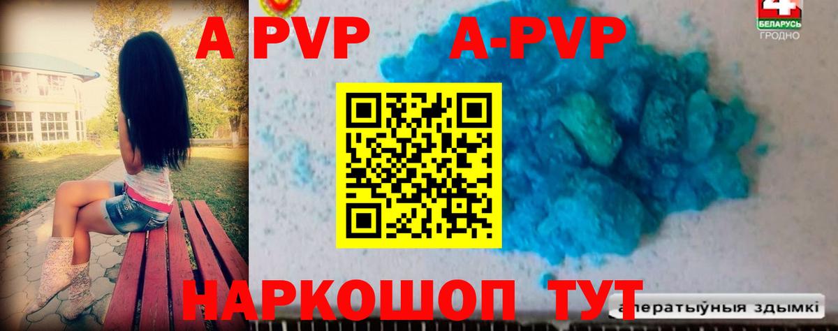Alfa_PVP СК КРИС Краснодар