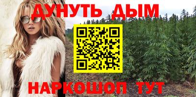 СК Кингисепп
