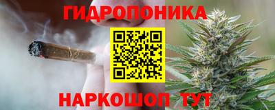 стаф Кимры