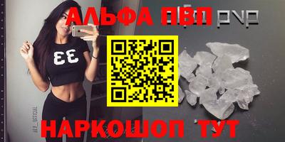 СК Кингисепп