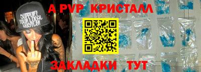 СК Кингисепп