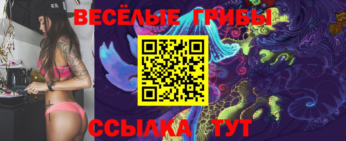 Краснодар  Псилоцибиновые грибы прущие грибы  Вход с VPN 