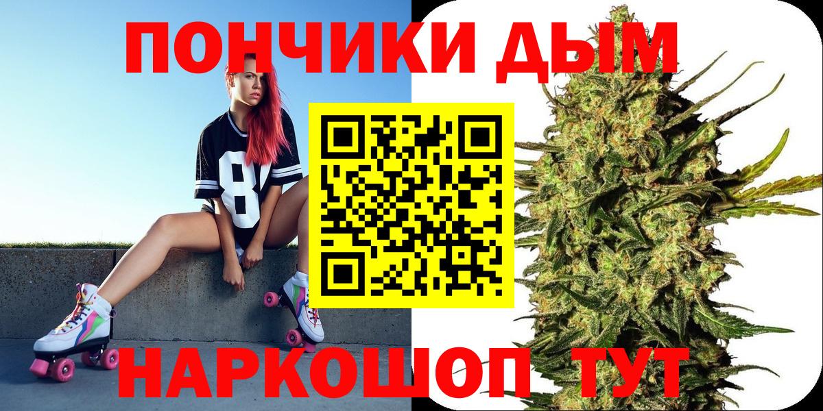 Шишки марихуана марихуана Краснодар